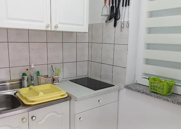 Popov 크리크베니카